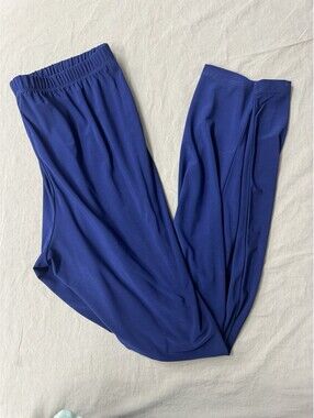 Slinky Brand Pants Womens Medium Blue Elastic Waist Straight Leg Stretch